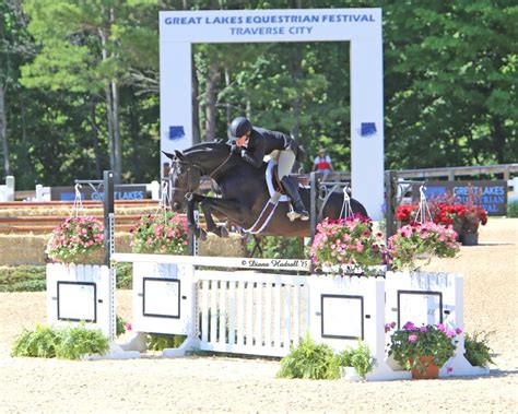 Great Lakes Equestrian Festival — Morrissey Management Group