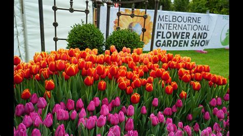Melbourne International Flower And Garden Show Top Events In