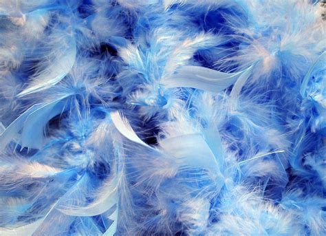 Background Blue Feathers · Free Photo On Pixabay