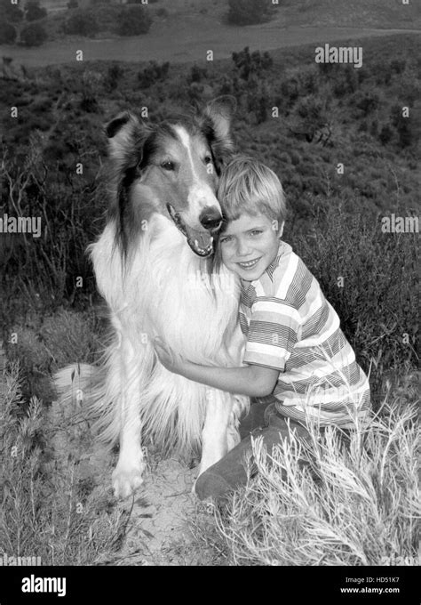 Lassie From Left Lassie Jon Provost Ca Late 1950s 1954 1974