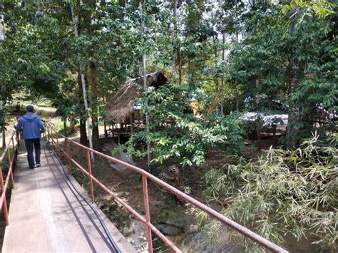 Vlog berkelah dalam dusun tok wak di baling kedah dusuntokwak sungai vlog malaysia. Dusun Tok Wak Desa Sentosa - Destinasi Eco Pelancongan Di ...