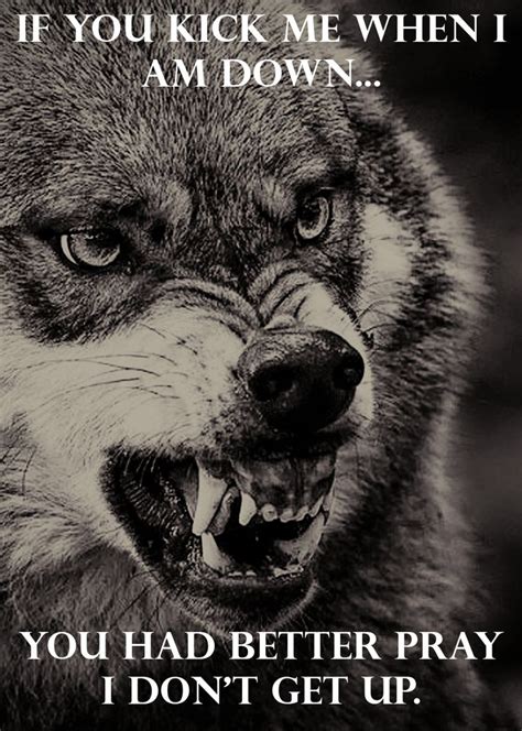 You Have Been Warned Wolf Quotes Lone Wolf Quotes Animal Quotes