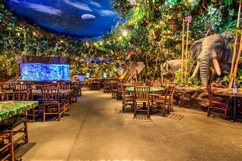 Rainforest Cafe Tx American Learning Alc