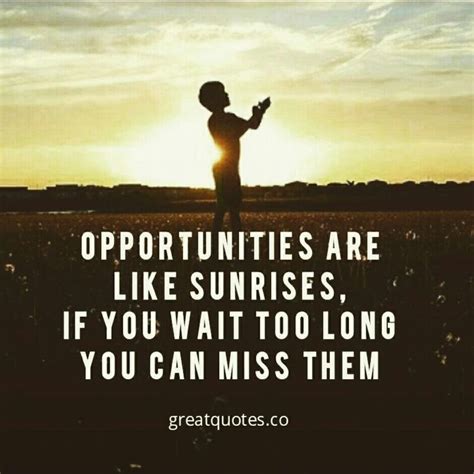Opportunities Are Like Sunrises If You Wait Too Long You Can Miss Them