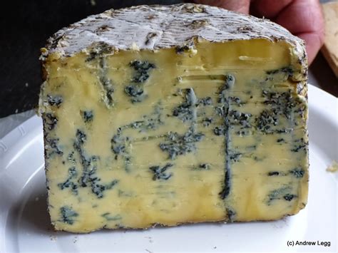 Around The World In 80 Cheeses 40 Kikorangi Blue Cheese