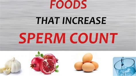 top 10 foods that increase sperm count youtube