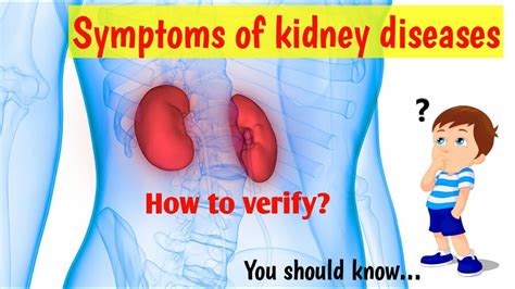 Kidney Infection Symptomskidney Infectionurine Problem Symptomsurine