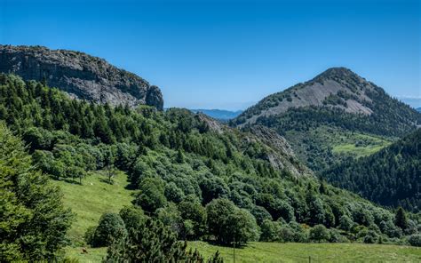 Download Wallpaper 3840x2400 Mountain Trees Slope Grass Nature 4k