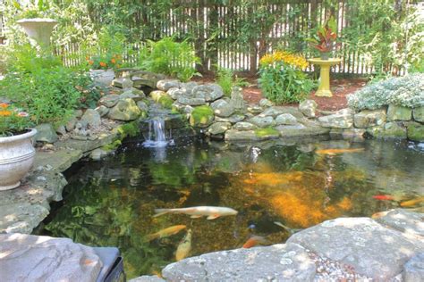 The 8 Main Steps To Creating A Water Garden Or Koi Pond To Your