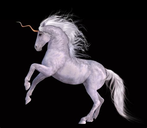 Unicorn Horse Magical Animal R Wallpaper 2400x2100 172461 Wallpaperup