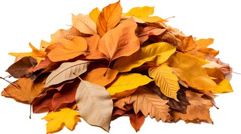 Pile Of Autumn Leaves Png With Ai Generated 33888935 Png