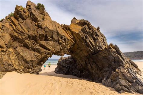 Well Worth Hiking To The Arch And Back Cape Queen Elizabeth Bruny Island Traveller Reviews