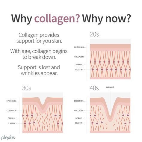 Shareable Why Collagen Why Now