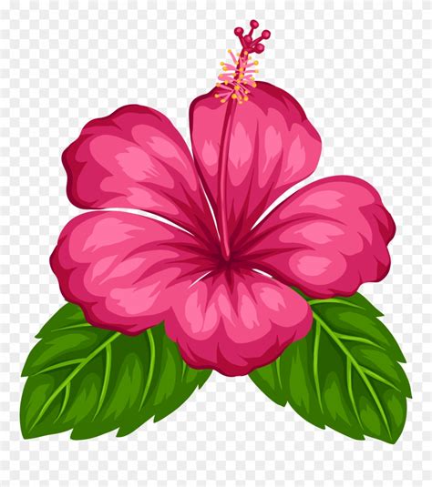 Hawaiian Flowers Png Hd Png Pictures Vhv Rs