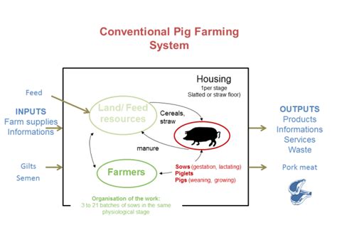 Precision Livestock Farming Student E Course Pig Farming System