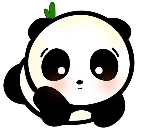 Imagem Baby Panda PNG