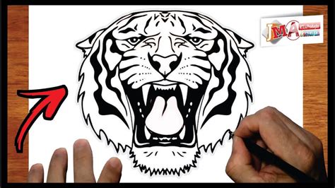 Como Desenhar Tigre Tiger Drawing Cartoon Drawings Pinterest