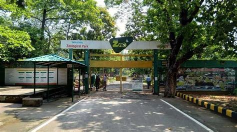 Tata Steel Zoological Park Tata Zoo Gets Ready For Annual Wildlife