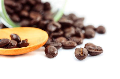 Closeup Roasted Coffee Beans Stock Image Image Of Coffee White 64949115