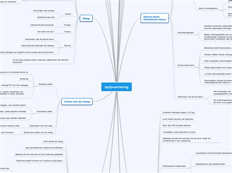 Spijsvertering Mind Map