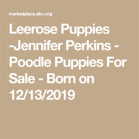 Leerose Puppies Jennifer Perkins Poodle Puppies For Sale Born On