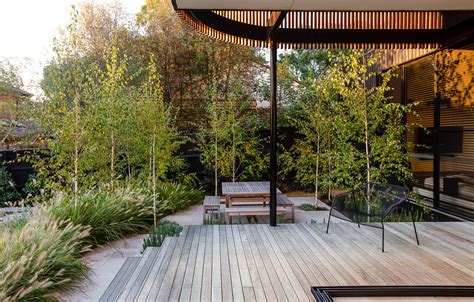 A Suburban Yard Transformed Into A Sophisticated Domestic Park