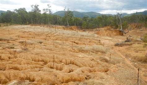 When Microbes Meet Sodic Soil How Soil Science Works To Counteract