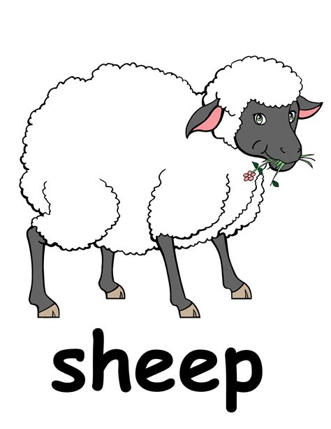 Find high quality six clipart black and white, all png clipart images with transparent backgroud can be download for free! Best Sheep Clipart #17206 - Clipartion.com