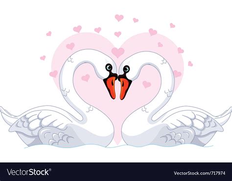 White Swans In Love Royalty Free Vector Image Vectorstock