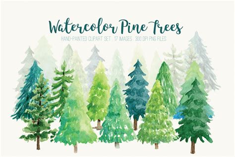Watercolor Pine Trees Clip Art Gráfico Por Peachycottoncandy · Creative