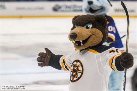 Blades Boston Bruins Mascot Boston Bruins On Twitter It S