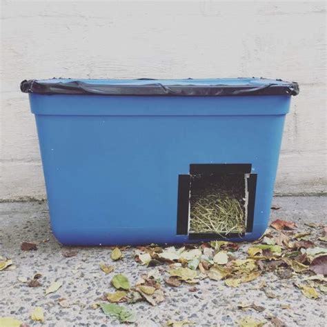 Save A Feral Cats Life With A 15 Diy Winter Shelter Autostraddle
