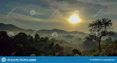 Beautiful Sunrise With Fog In The Borneo Mountains Forest Stock Photo