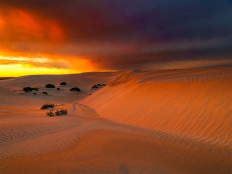 Eucla Sand Dune Sunset In Western Australia Hd Wallpaper Background