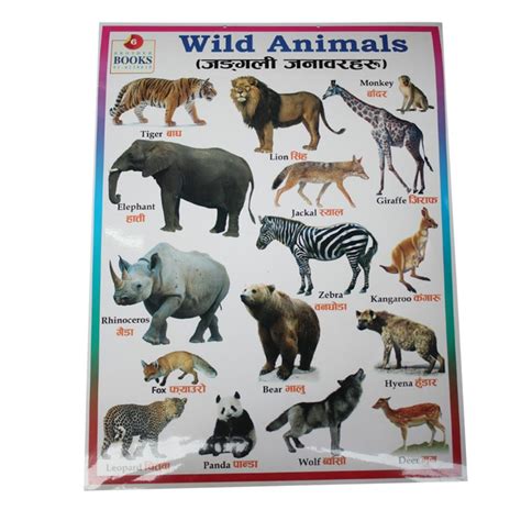 Top 153 Wild Animals And Domestic Animals Chart