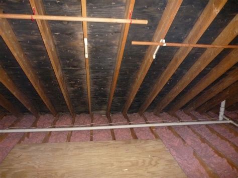 They can grow on the metal of the vent itself, or in the roof, floor, or wall that it sits on. IndoorDoctor on Indoor Air Quality : Blizzard Will Cause ...