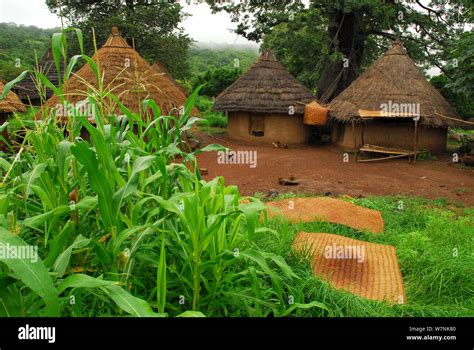 Bedik Village Huts Bassari Country East Senegal This Area Became A