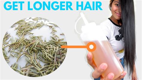 rosemary water for hair growth how to use rosemary for hair growth youtube