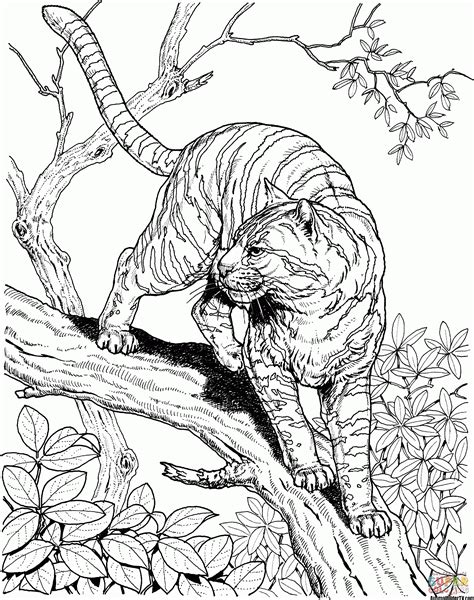 Tiger Ausmalbilder Jungle Coloring Pages Animal Coloring Pages