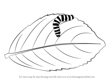 How to draw caterpillar, caterpillar drawing for kids, drawing and coloring caterpillar, how to dra… показать все теги. Learn How to Draw a Caterpillar on a Leaf (Insects) Step ...