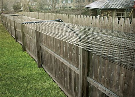 Protectapet cat fence barriers are available as kits in multiples of 10 meter linear lengths. Cat proof garden ideas - keep your pets inside your backyard