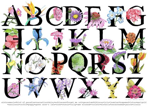 Items Similar To Flower Alphabet Poster On Etsy