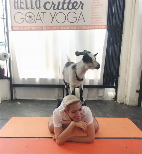 What Is Goat Yoga Like Popsugar Fitness