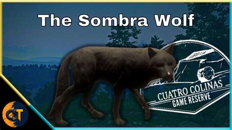 The Last Cuatro Side Mission Wolf The Sombra Wolf Youtube