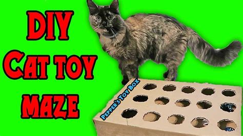 Diy Cat Toy Maze Puzzle Treat Interactive Cardboard Peek A Boo Hide And
