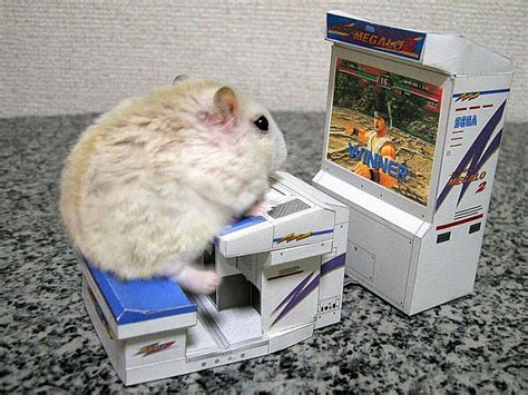 Hamster Playing A Video Game 2 Cute Hamsters Funny Pictures Hamster