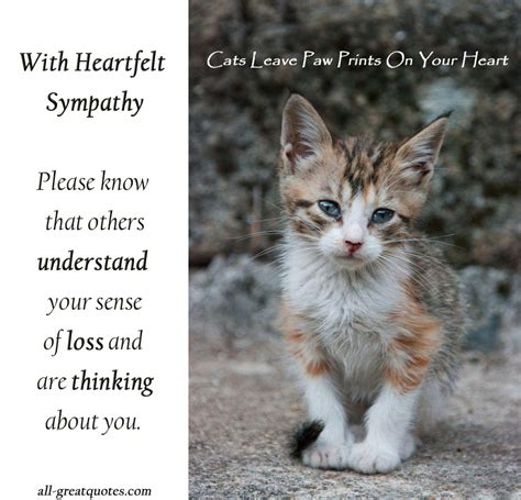 Cat Loss Quotes And Poetry Quotesgram