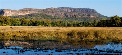 Bandhavgarh Tiger Reserve Toftigers