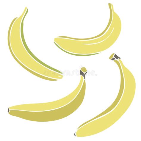 Vector Illustration With Collection Of Different Bananas Stock Vector