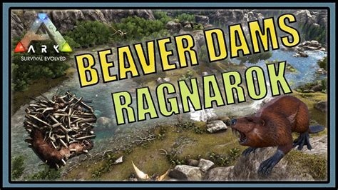 Beaver Dam Locations Ragnarok Ark Survival Evolved Youtube